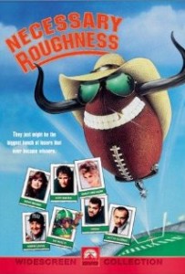 necessary roughness